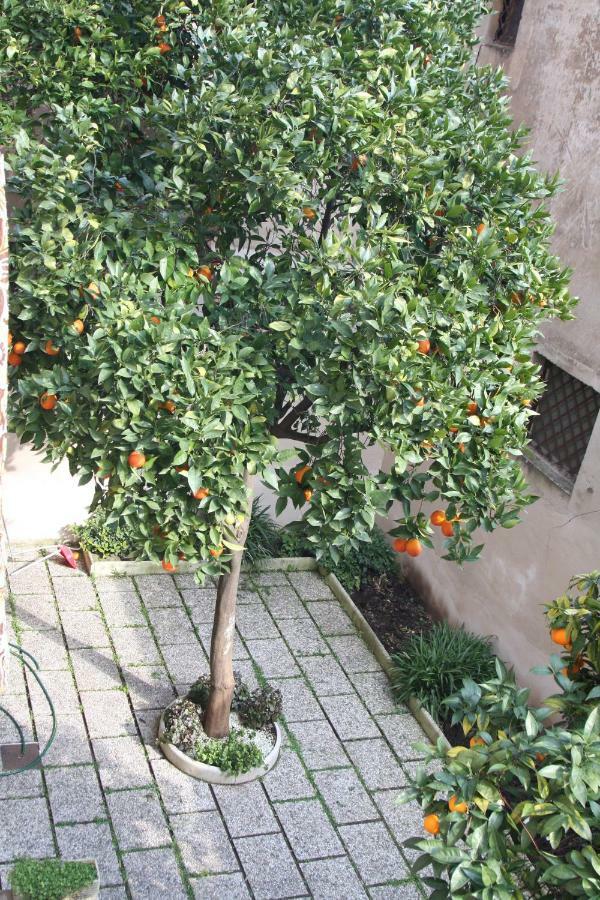 Appartamento Wellnessinnrome Shortlet *